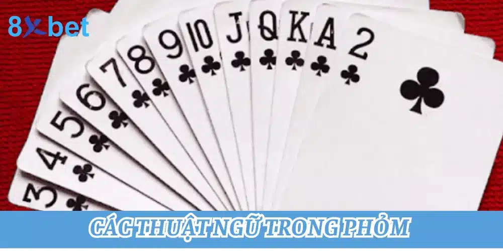 Cách chơi phỏm cực chi tiết dành cho người mới bắt đầu 2 Một số thuật ngữ trong Phỏm thường dùng